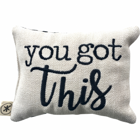 You Got This Message Pillow