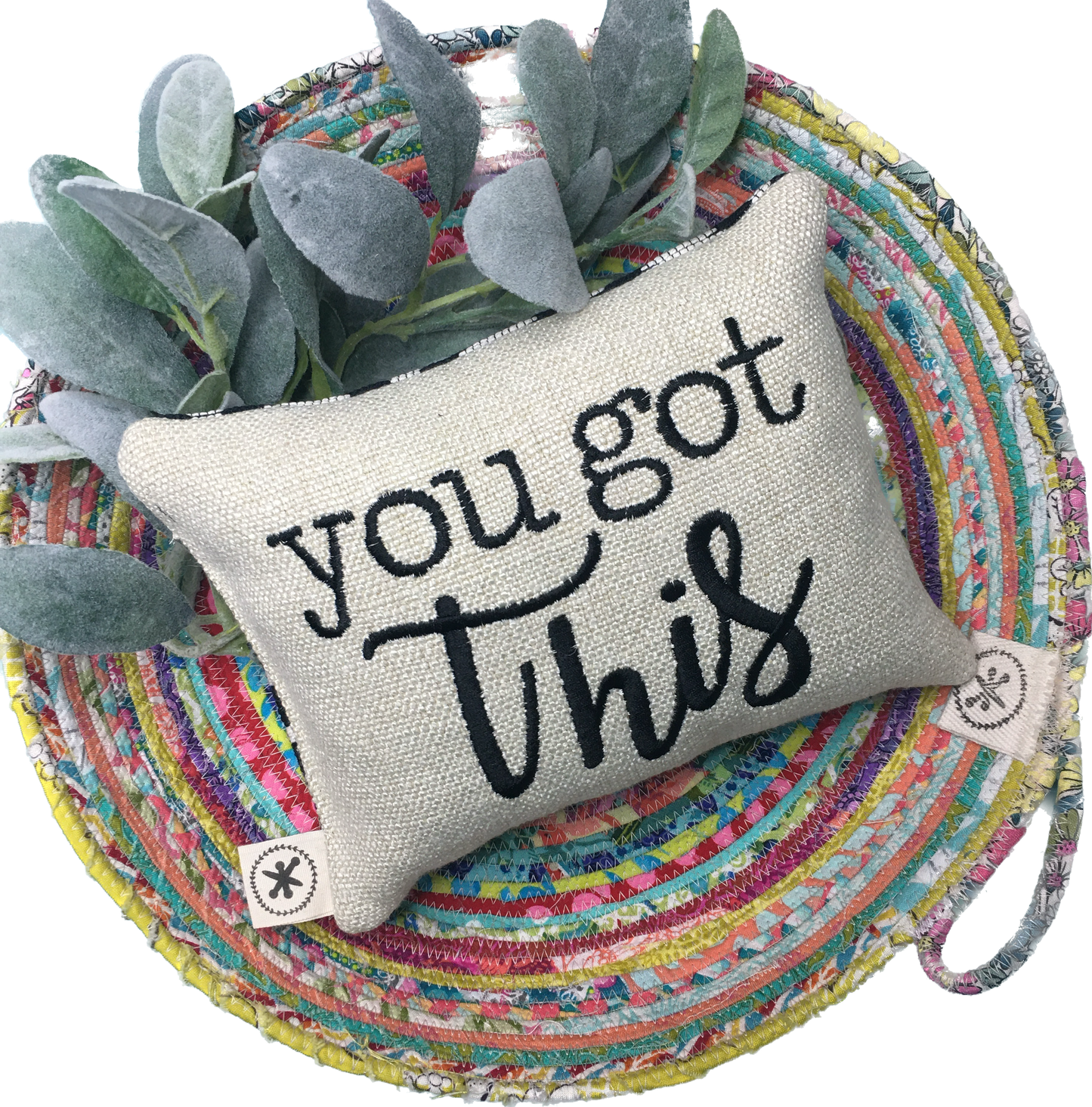 You Got This Message Pillow