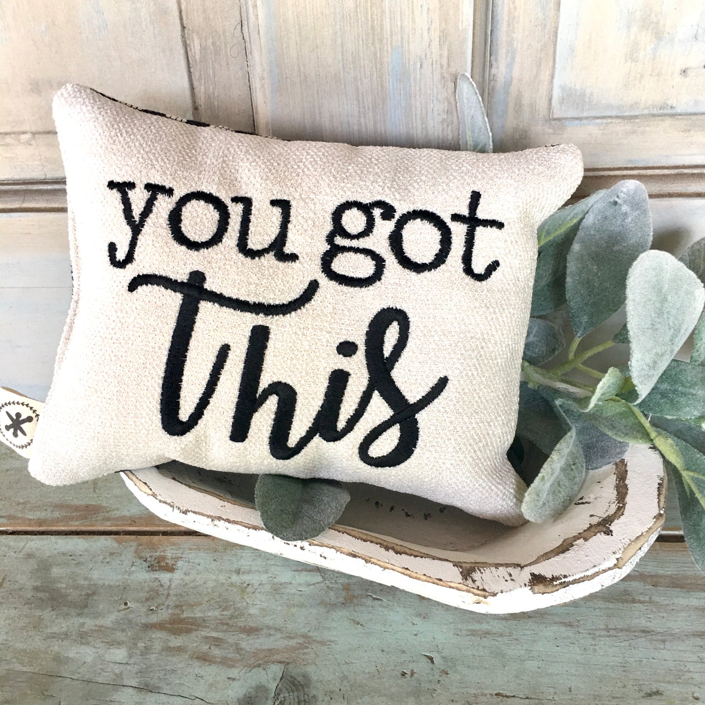 You Got This Message Pillow