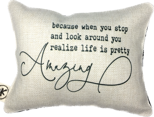 Life is Pretty Amazing Message Pillow