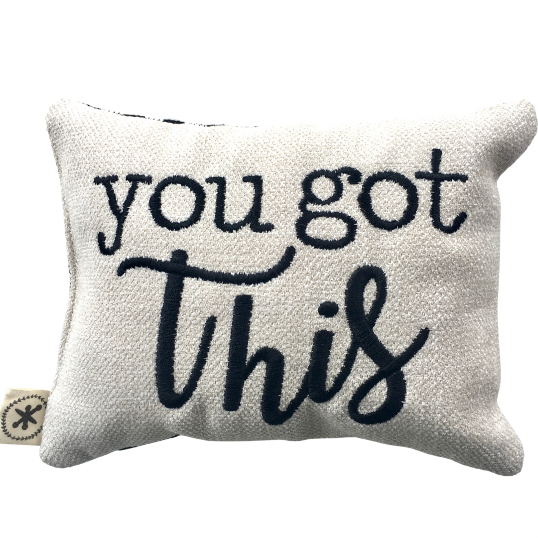 You Got This Message Pillow
