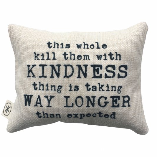 This Whole Killing Them With Kindness Thing is Taking Way Longer Than I Thought Message Pillow